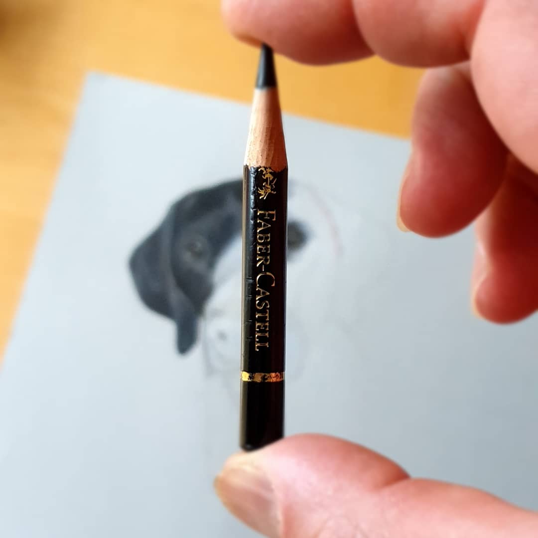 Stevebarkerpetartist tweet media