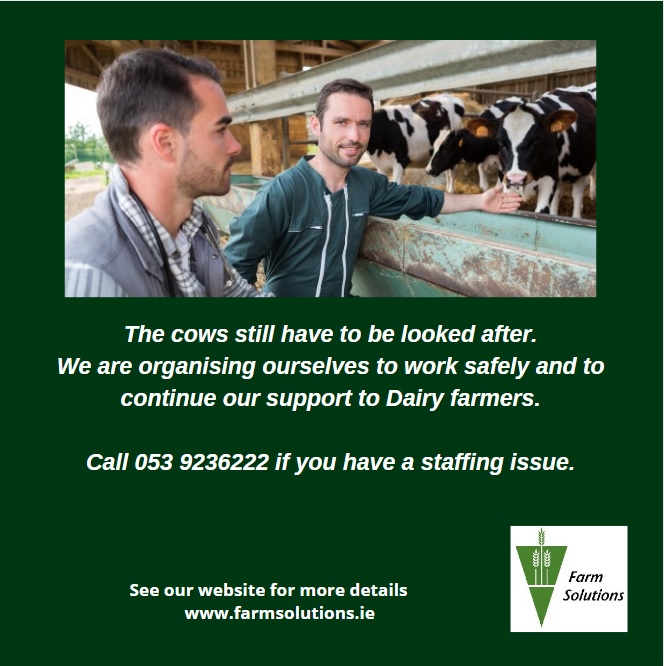 farmingjobs's tweet photo. #farmsolutions #farmlabour #farmrelief #farminglife #teamdairy #farmstaff #dairyfarm #Farming #farmjob #weareoopen https://t.co/60FrErOI76