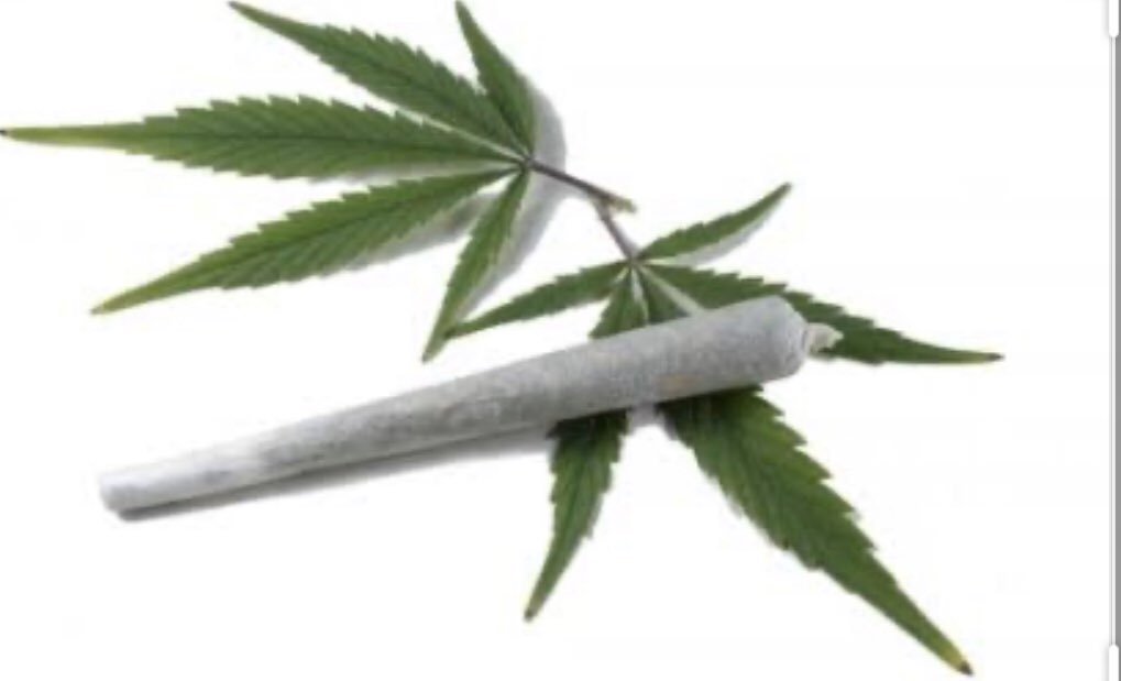 Marcoo Tavares81 tweet media