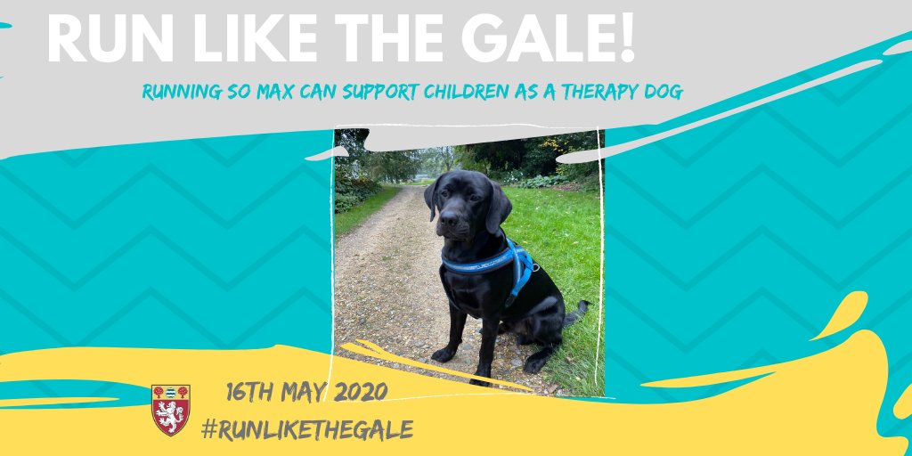 RAASchoolGatton's tweet photo. Mr Gale will be attempting a mindbogglingly 12 hours of continuous running to raise funds for mental health initiatives, one being training Max (#goodboy, obviously) to become a therapy dog. You can support him here: https://t.co/hZLu0AYi37 #MentalHealthAwareness #RunLiketheGale https://t.co/Rsi1KNgJPc