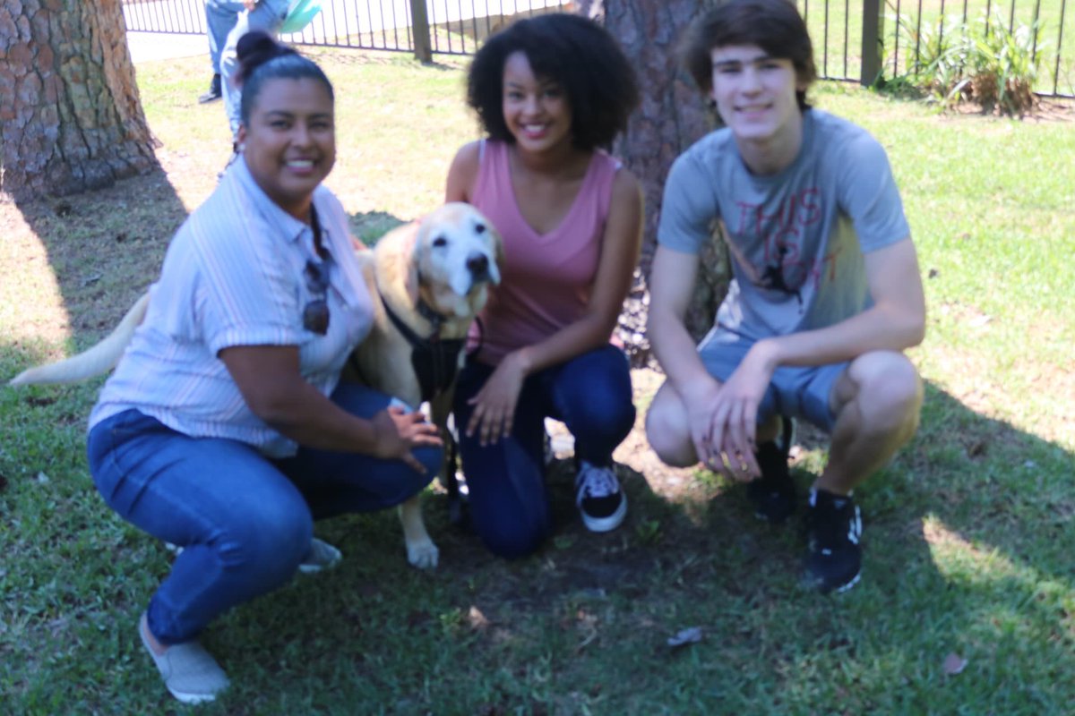 GRASS_Texas's tweet photo. We are so happy to report that Merle has been adopted and is doing just great at his fur-ever home with the Powell family! He is getting lots of snuggles and love and belly rubs.  We are so happy for Merle that he has an amazing family to love. https://t.co/ANfs4tHDJG