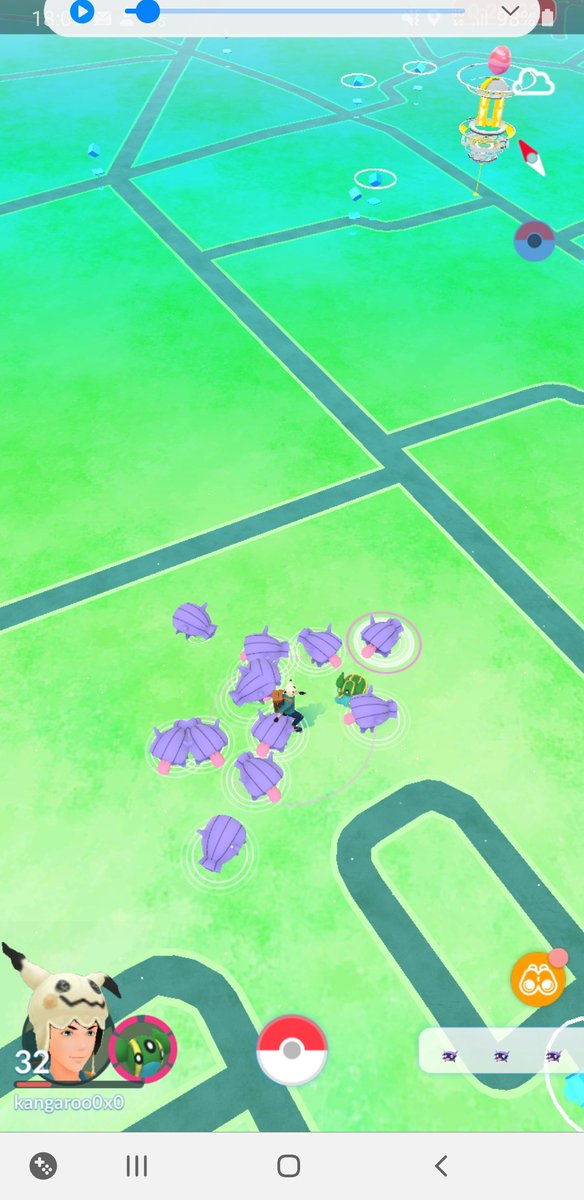 カンガルー Oxo Oxo ポケモンgo シェルダータイム こんなに居たのに色違い来なくてしょんぼりしてたら色違いラッキーちゃんのわりとステータス良い子が来た