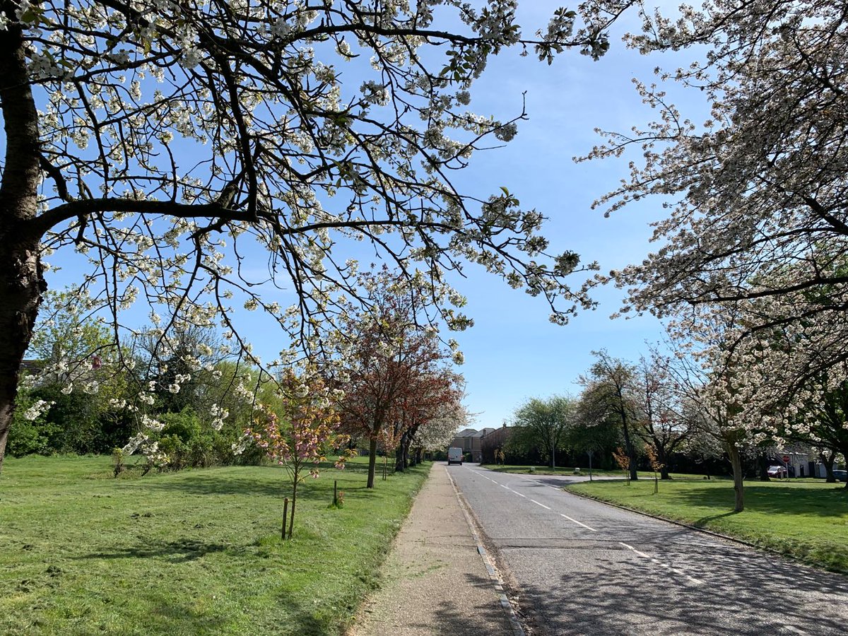 Check out our student - Erica's Sharing Part II: “Time flies, see you when the rainbow arrives” on our Facebook page - facebook.com/knewstepedu/po…
where she shares her thoughts on studying at home during this pandemic period in the UK 📚
#StudentSharing #COVID19 #StudyingAbroad