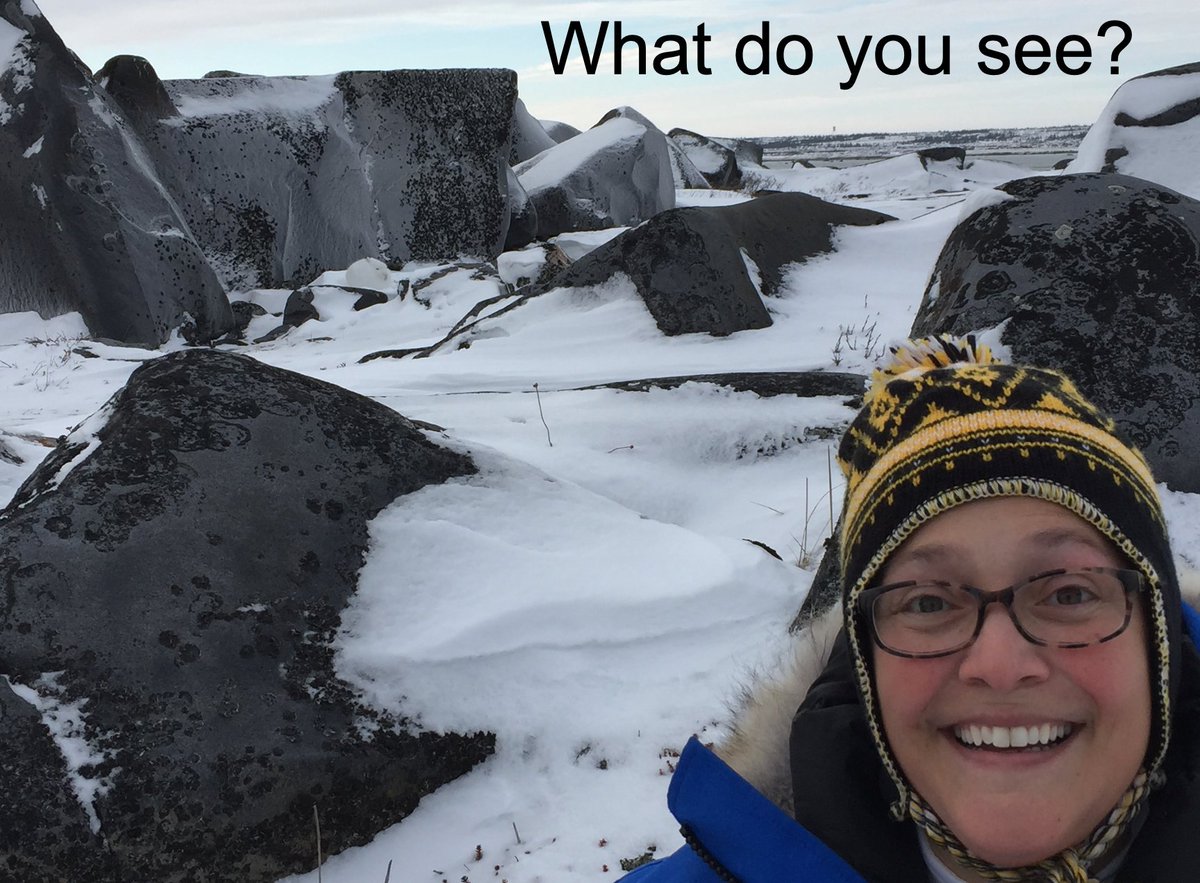 Happy #TeacherAppreciationWeek to Mrs. Seyffert and all the teachers in <a href="/gcschools/">Greenville County Schools</a>.  I had the honor of joining her 1st grade class to talk about polar bears this morning.  Great questions!  And they were really quick to find the hidden animal in this picture.  @discoveryed