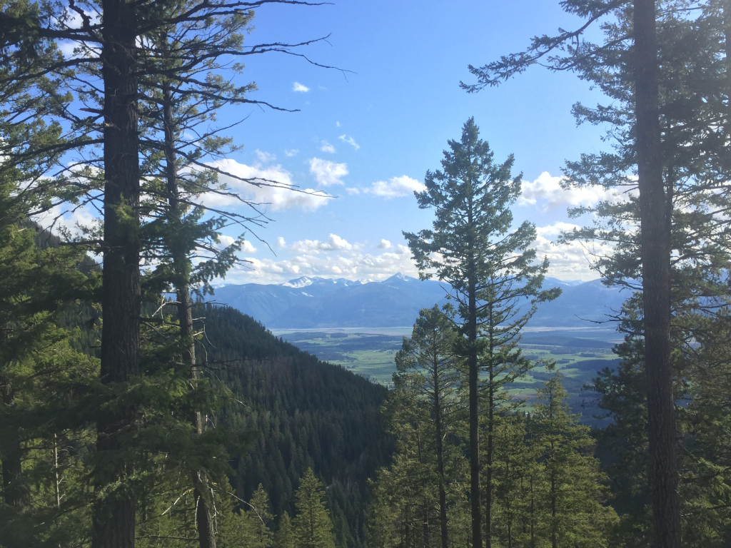 You’ll never have another first day of planting ever again shansquared.ca/2020/05/05/you…