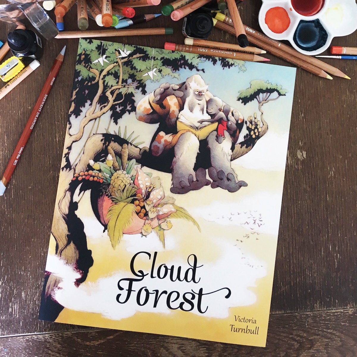 Cloud Forest is now out in paperback! Big thanks to <a href="/QuartoKids/">Quarto Kids</a> ☁️☁️☁️