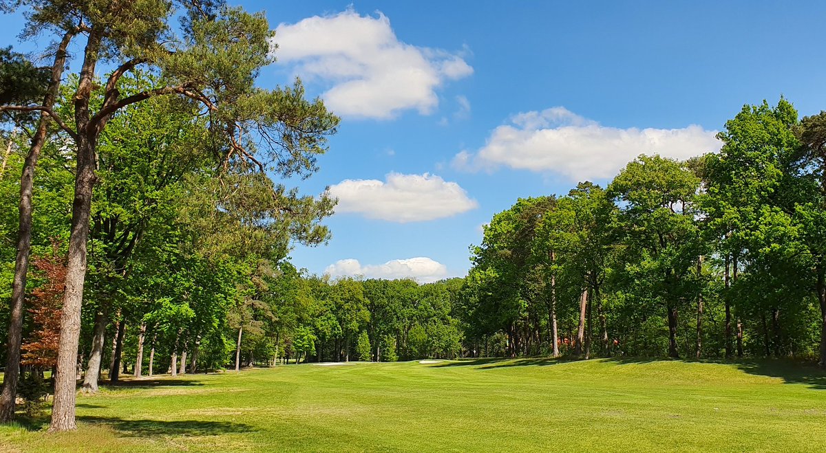 Toch nog maar even volhouden.....doen we het zo lang met mooie plaatjes #gcdedommel