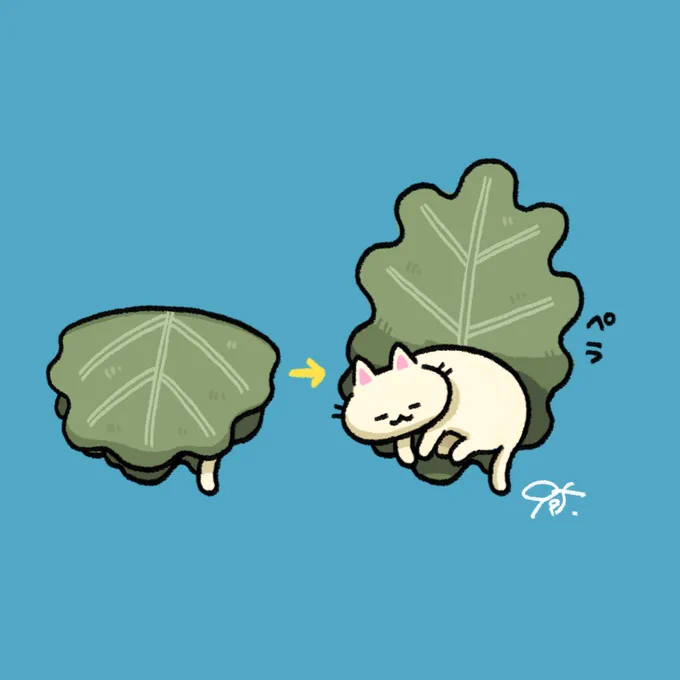 かしわもち #PooksWorks 