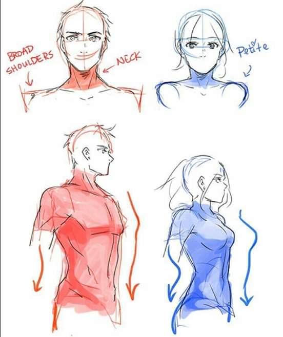 How To Draw Anime Neck And Shoulders