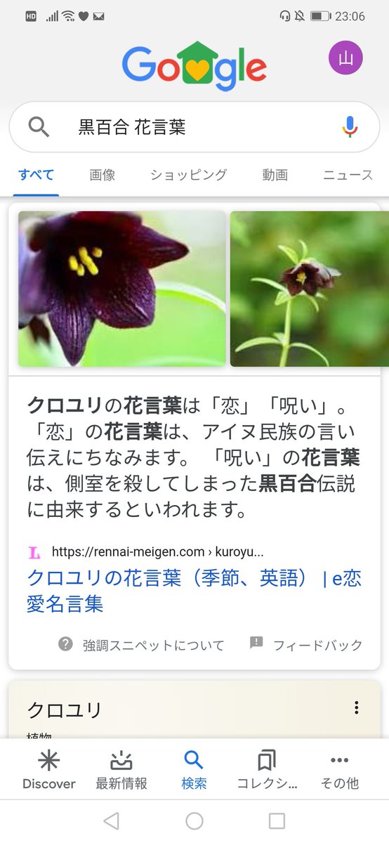 ゆずりんご 全員薔薇が似合う面子ではあるけどポイズンだったらみーこさんの言う黒百合のがらしい感じする 花言葉は 呪い だし1度見たら絡めて離してくれない感じ