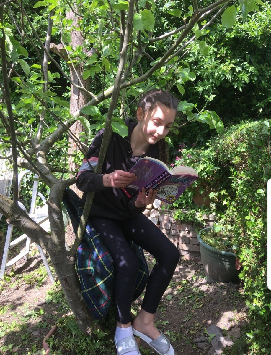 NottmPrimary's tweet photo. Here's Olivia from 6 Oak with her entry to the challenge. Yes that's her on a hedge and up a tree! #extremereader https://t.co/9aaBEbKTin