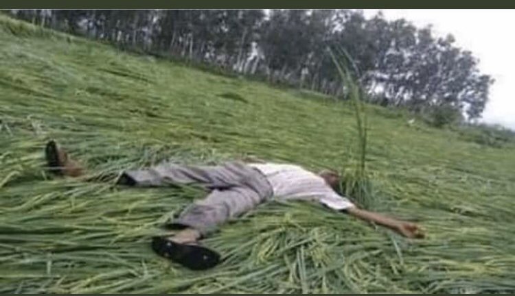 bcpradhan_bku's tweet photo. जब उधोगपतियो का हो सकता है तो किसान का क्यों नहीं?#किसान_कर्जा_मुक्ति https://t.co/icKA1eaQ9o