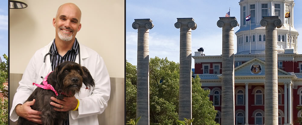 MizzouResearch's tweet photo. ICYMI - Jeffrey Bryan, professor of oncology @MUCVM, recently spoke about canine bone cancers and other dangerous canine diseases via @AcademicMinute 🔗https://t.co/bj0Ck3AGCN.

#MizzouResearch #TuesdayThoughts @Mizzou https://t.co/bMvyDySGBV