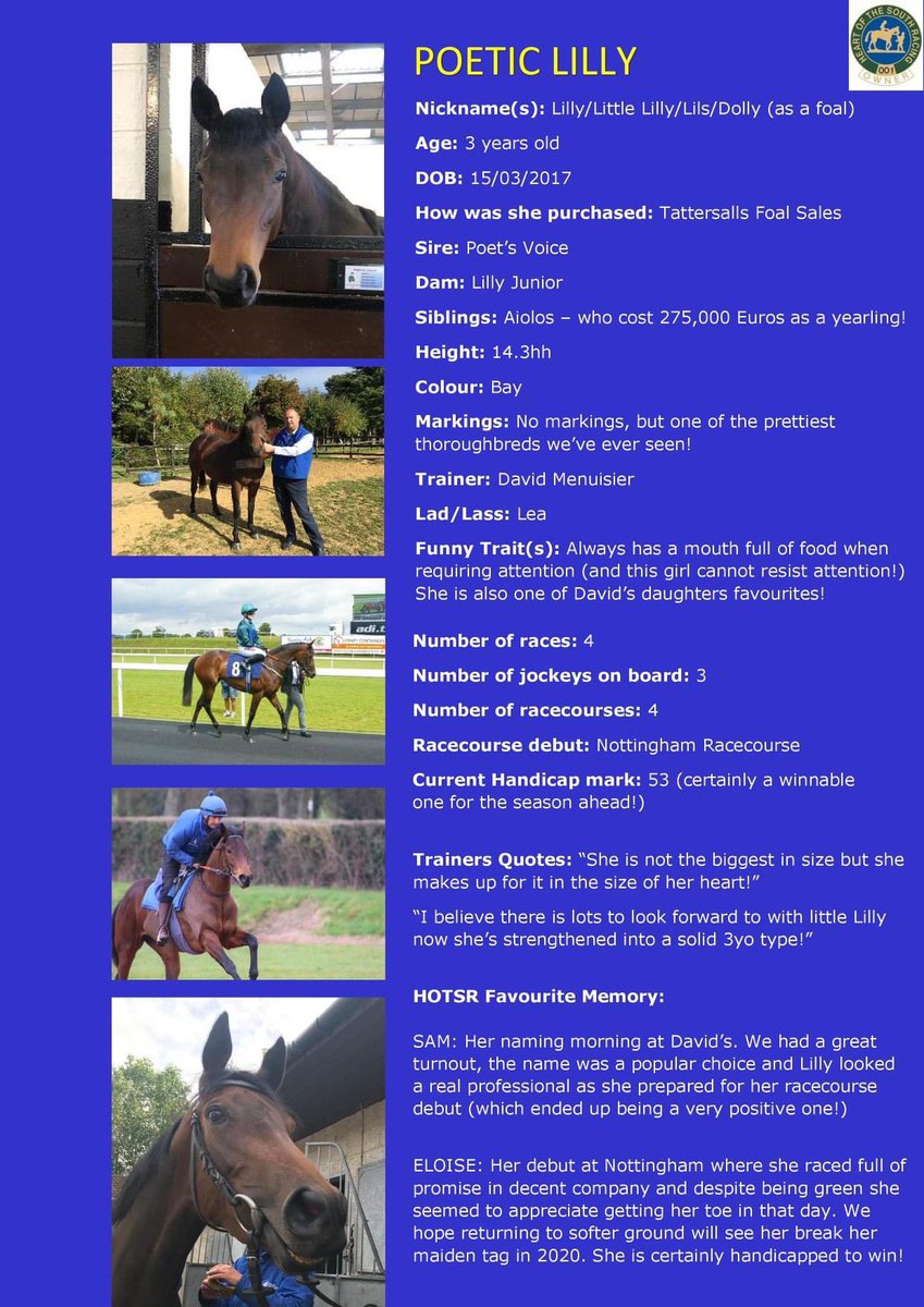 RacingHOTSR's tweet photo. P is for PIVOTAL COLT &amp; POETIC LILLY
This @DavidMenuisier trained duo look to have exciting futures ahead of them! 
Read more about them here.. #hotsr #poeticlilly #pivotal https://t.co/2ukT3h8Q2s
