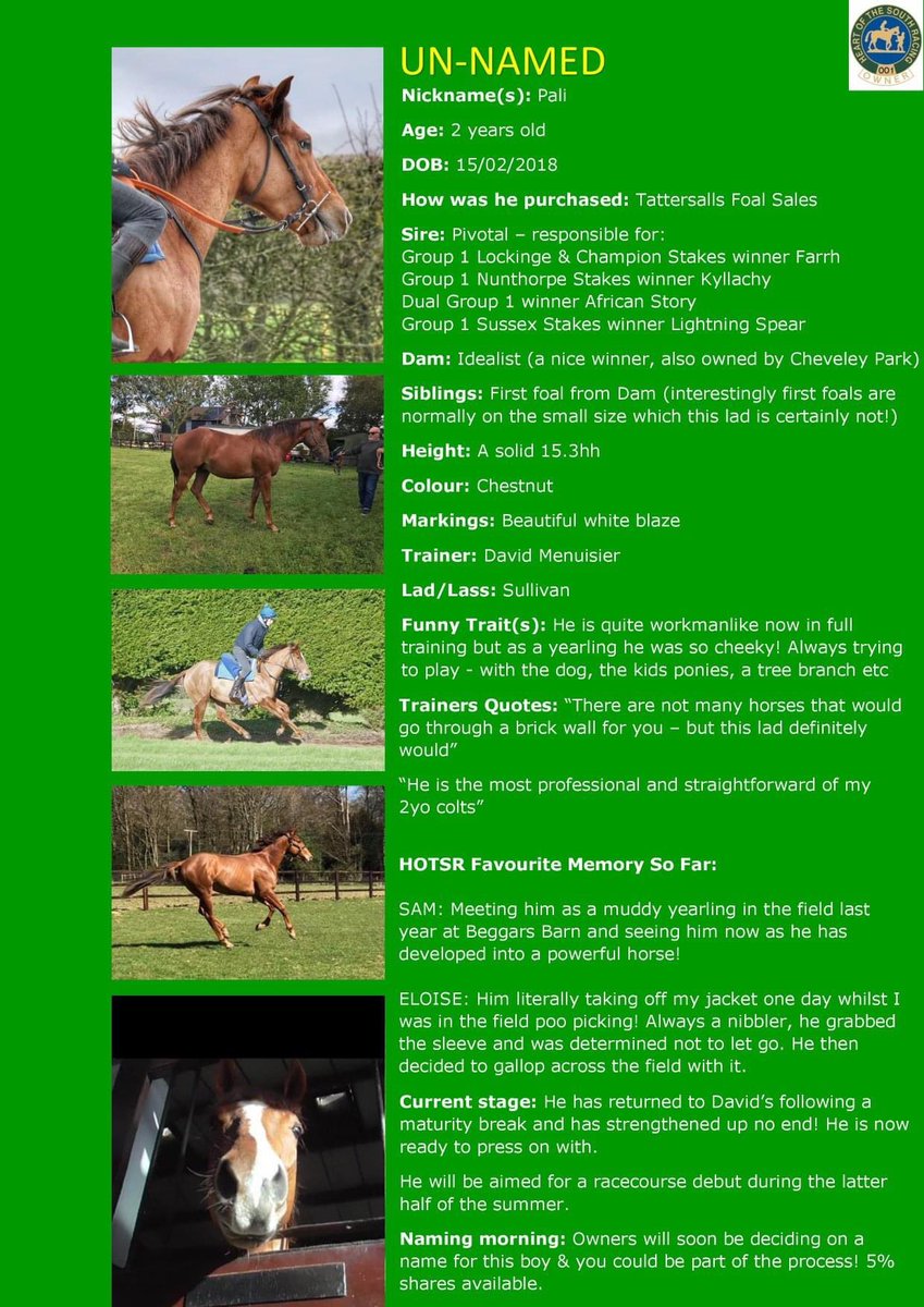 RacingHOTSR's tweet photo. P is for PIVOTAL COLT &amp; POETIC LILLY
This @DavidMenuisier trained duo look to have exciting futures ahead of them! 
Read more about them here.. #hotsr #poeticlilly #pivotal https://t.co/2ukT3h8Q2s