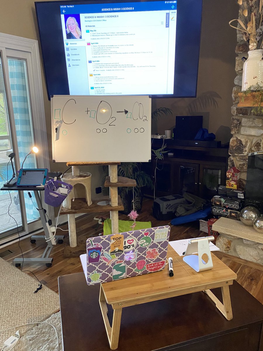 baker_kaphingst's tweet photo. Cat tree, coffee table, tv, whiteboard, iPad, laptop, lap desk, desk lamp, portable projector. Yup! #ready c u at 11 ⁦@StationMS220 LIVE #distancelearning https://t.co/xJxjLlMSlg
