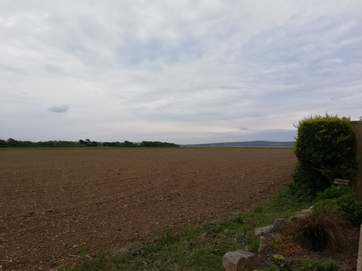 kelbacon's tweet photo. Rather a grey day, but none of that rain forecast, so sallied forth on my exercise walk despite the chilly wind. Still splashes of colour en route. #exerciseOnceaDay #StayHome https://t.co/3Ijsy7bqYg