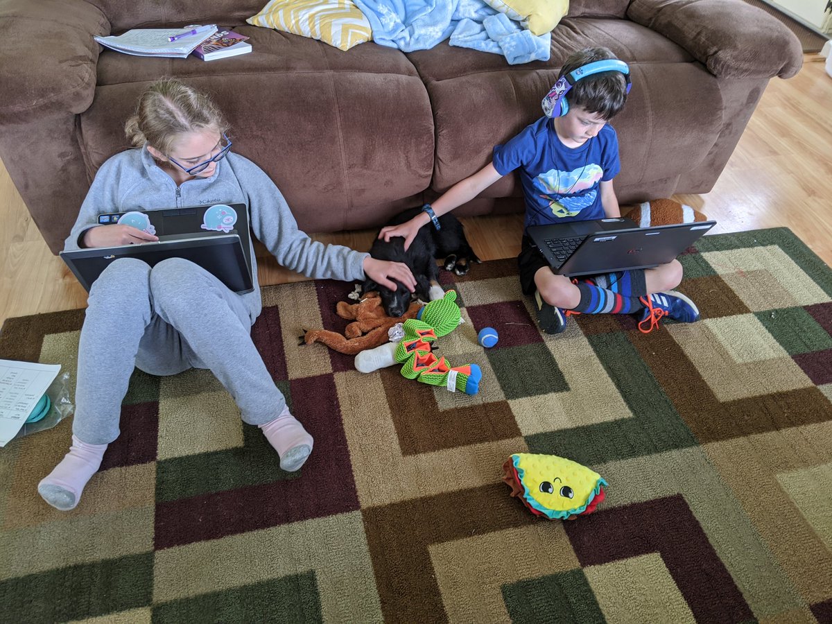 Justin Watts tweet media