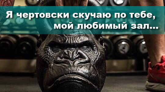 #любыйспортзал #скука #люблютернировки #хочунатреню #спортжизнь
newlife.in.ua/g5815780-silov…
