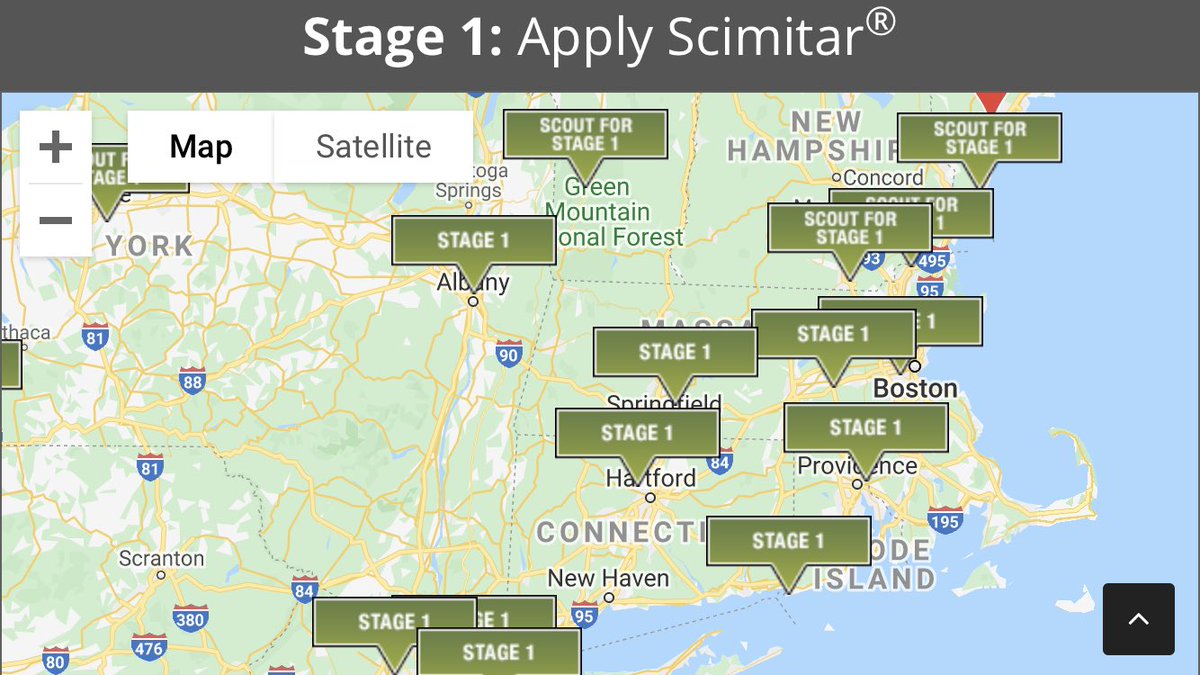 #WeevilTrak2020 alert! All of CT, RI &amp; MA have moved to Stage 1 - watch for peak adult ABW activity and treat as necessary #Scimitar greencastonline.com/weeviltrak/dis…