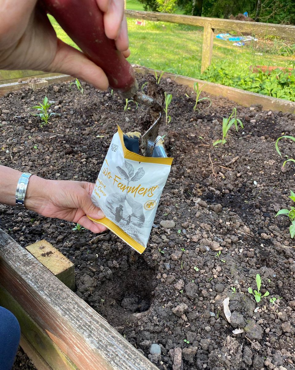 TwoFarmersHfd's tweet image. As we are talking about all things home-composting this week, we thought it&apos;d be a great idea to share a little activity you could try at home with your children! Head over to our latest Instagram or Facebook post to find out more! 🌱

#internationalcompostawarenessweek #icaw2020