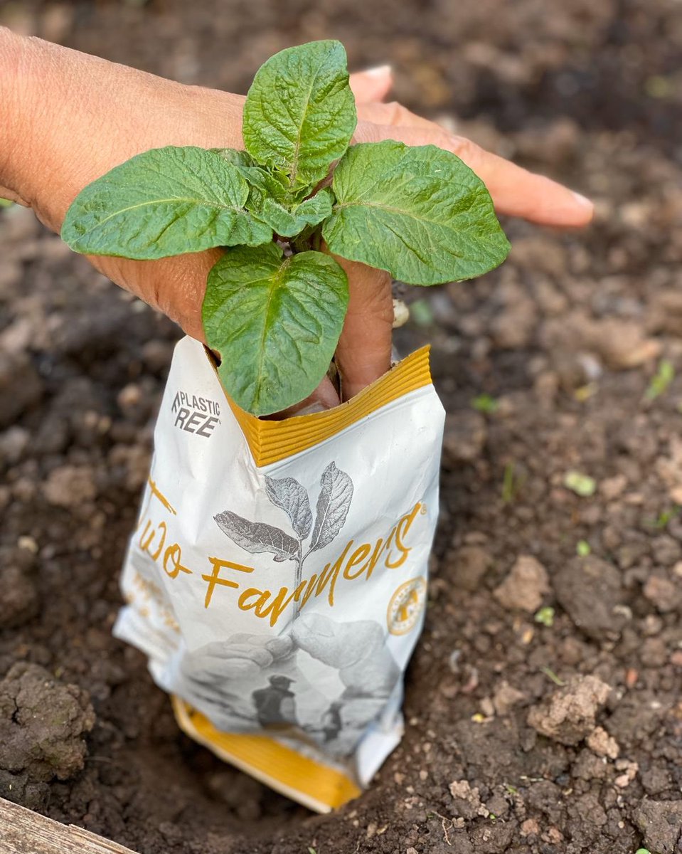 TwoFarmersHfd's tweet image. As we are talking about all things home-composting this week, we thought it&apos;d be a great idea to share a little activity you could try at home with your children! Head over to our latest Instagram or Facebook post to find out more! 🌱

#internationalcompostawarenessweek #icaw2020