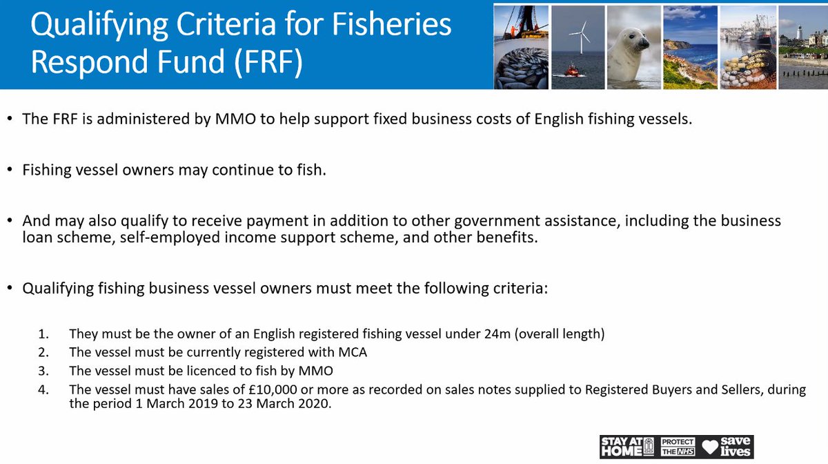 fisheriesappg's tweet photo. At our online #FishingSupport event, Tom McCormack, CEO of @the_MMO, runs through the MMO's schemes launched to support English fishing vessels, including the criteria to qualify for the #Fisheries Response Fund. https://t.co/dEgC43ZGRE