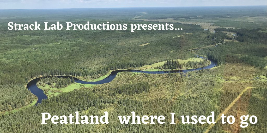 Wetland GHG Lab tweet media