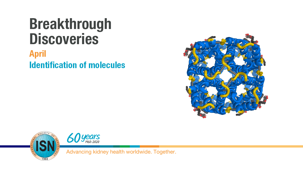  Identification of molecules https://www.theisn.org/60th-anniversary/breakthrough-discoveries/breakthroughs-in-april/identification-of-molecules  #ISN60years