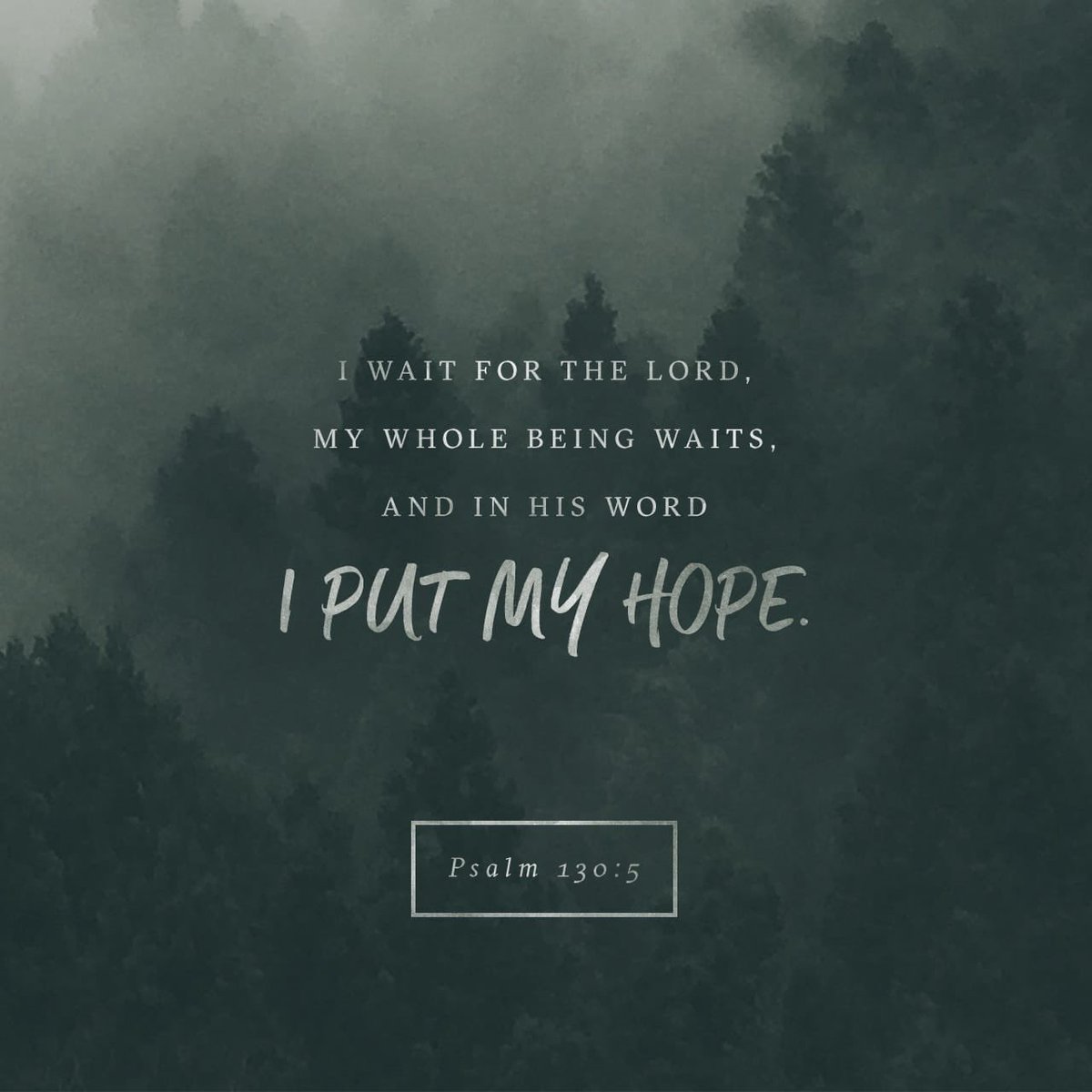 aw4_c's tweet photo. ✝️”I wait for the Lord, my soul waits, and in His word, I do hope”✝️ (Psalm 103:5)
Trust in the Lord, stand on His Word and believe in His promises!
#TuesdayThoughts
#TuesdayMotivation
#TrustGodAlways
#StayInHisWord
#TrustGod https://t.co/3sutiAgdLR https://t.co/ofmNulp7R7