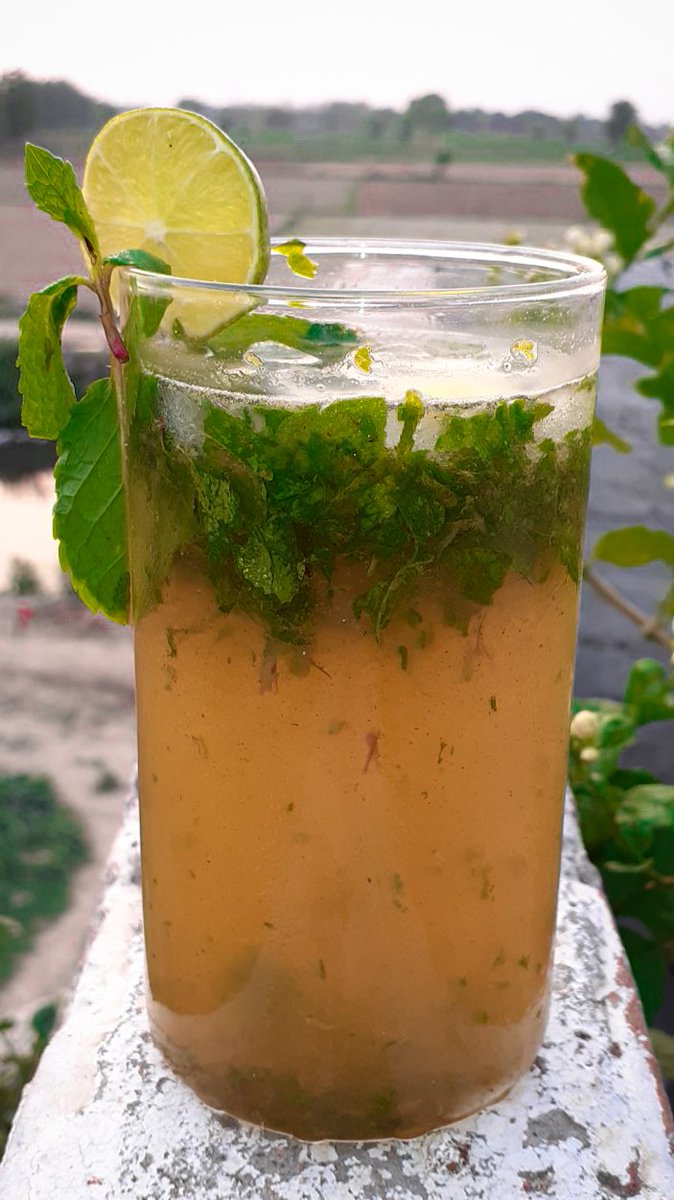 Rakhiuniquefood's tweet photo. Mint Lemon Mojito Drink:🍹
Who wants to see this recipe?
Sure to comment me 👇🏻🤗
YouTube: Rakhisuniquefood
#MintLemon #drink #summerdrinks #Foodie #yummy #foodpic @FoodNetwork @nytfood @YTCreatorsIndia https://t.co/0Gt2KHfKSo