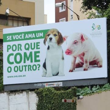 alcrsk's tweet image. eu tentando entender relacionamento aberto