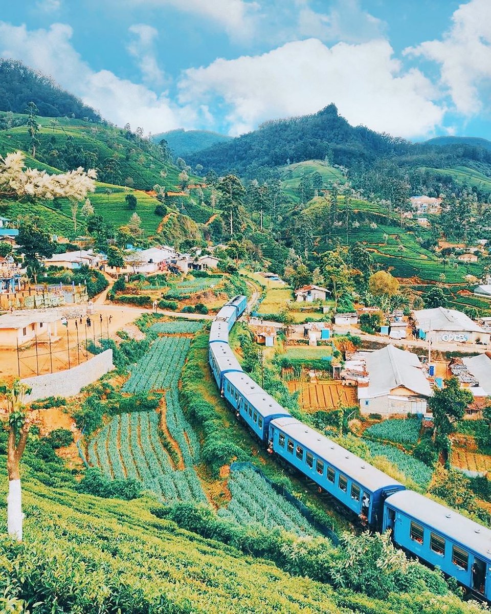 InfiniteCeylon's tweet photo. The train routes in Sri Lanka are some of the most beautiful in the world. Travelers dream of taking the train to the hill country

Start planning your truly bespoke itinerary by contacting us
• 📧: hello@infiniteceylon.com
• 📞: +94 779 112 232
• 💻: https://t.co/FLxKx9tpM0 https://t.co/JzWDxE58dP