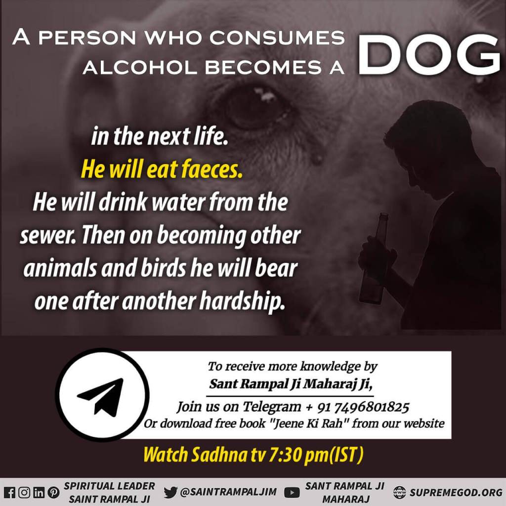DasiPragati2's tweet photo. ##Say_No_To_Alcohol
A Person Who Consumes Alcohol And Does Not Perform Auspicious Deeds, His Future Becomes A Hell.
@SaintRampalJiM https://t.co/VZXO2qMwzC