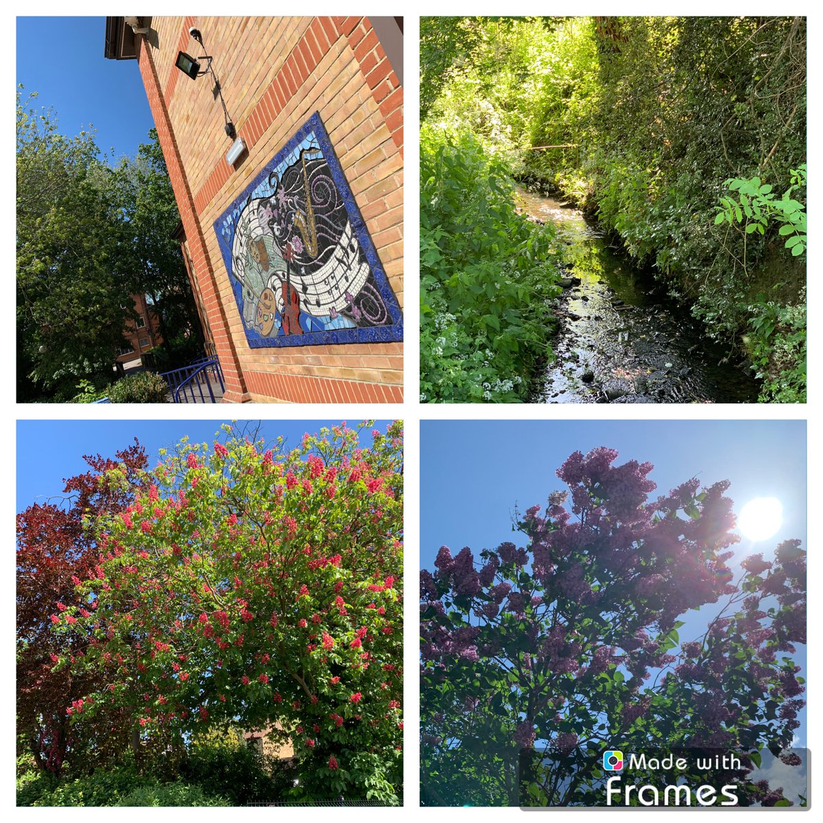 Our school site looked stunning in the sunshine today. #Blessed with such a beautiful setting in #Loughton #LoughtonCommunity #LoughtonSchool #EppingForestCommunity #EppingForestSchool #BuckhurstHillCommunity #BuckhurstHill #BeautifulSchool