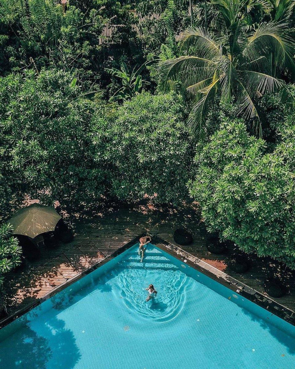 InfiniteCeylon's tweet photo. "In every walk with nature one receives far more than he seeks" - John Muir

Start planning your truly bespoke itinerary by contacting us
• 📧: hello@infiniteceylon.com
• 📞: +94 779 112 232
• 💻: https://t.co/FLxKx9tpM0 https://t.co/33nRAiHBEh