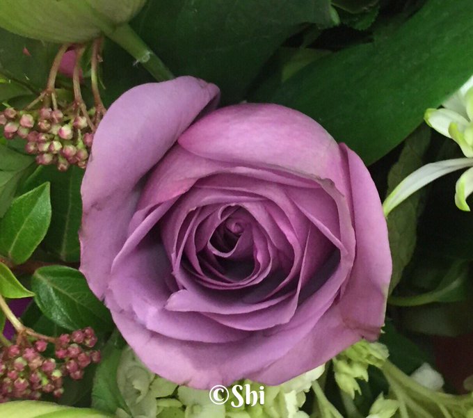 “Silence is the cornerstone of character.” — Teton Sioux proverb #NativeAmerican #Proverbs 

#TuesdayThoughts 
<a href="/Earthles/">••• Dr Les Willmore •••</a> <a href="/NutritiousMind/">Izabella Niewiadomska ❤️</a> <a href="/alicia_budhram/">Alicia Budhram P²</a> <a href="/Victoryabro/">Dr. Fauzia I. Abro</a> @LavaletteAstrid <a href="/RagusoSergio/">Sergio_Raguso 🌐</a> <a href="/sulefati7/">Fati Sule</a> <a href="/loveGoldenHeart/">💛Christina Goebel, M.A.</a> <a href="/CurieuxExplorer/">Dev Khanna</a> <a href="/SiddharthKS/">Siddharth Shah</a> <a href="/achyutaghosh/">Achyuta Ghosh</a> #defstar5