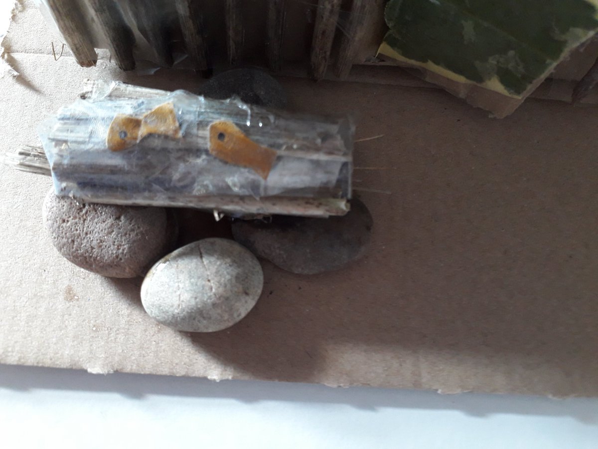 CongletonHS's tweet photo. Mrs Jackson Moss was delighted with Y8 Freya D's Eco Hut for her @CHSSciences 'Desolation Island' project. Students were asked to show where they'd build a hut, suggest how they'd get energy from natural resources on the island, and how they'd keep their food cool and cook it https://t.co/VjrzkJEC01