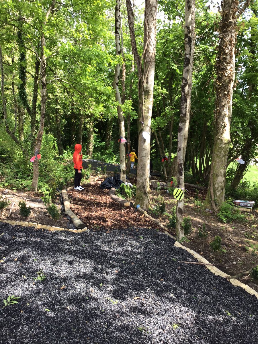 TonLowerSchool's tweet image. Creating mini beasts to brighten up our forrest #hubschool #gettingcreative
