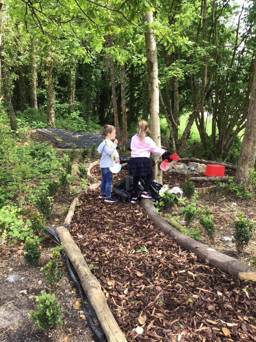 TonLowerSchool's tweet image. Creating mini beasts to brighten up our forrest #hubschool #gettingcreative
