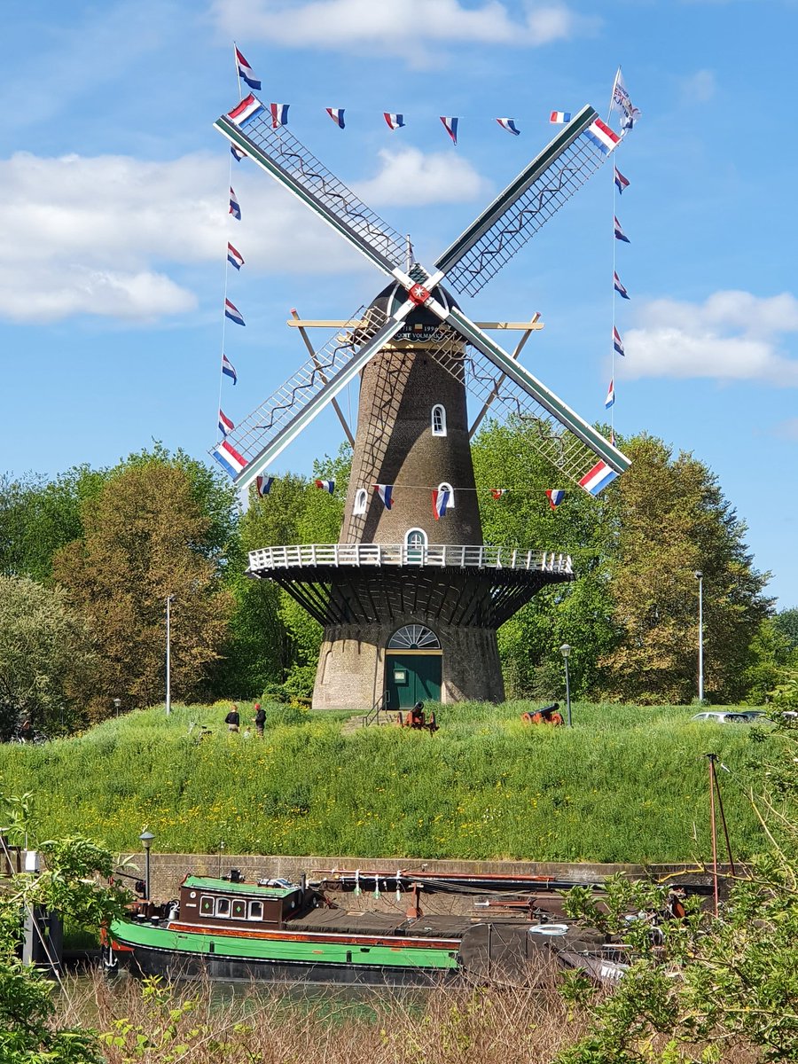 TheodeRooij85's tweet photo. Bevrijdingsdag wilde ik dit jaar zeker niet onopgemerkt voorbij laten gaan. Gelukkig met hulp de molens in de vlaggen weten te krijgen wat een fantastisch gezicht is geworden. #bevrijdingsdag #molens #Schiedam #Gorinchem https://t.co/7tzZDD8NEg