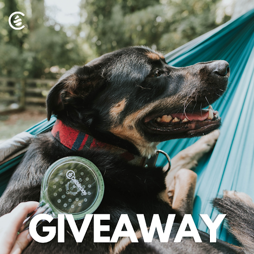 realcedarcide's tweet photo. Giveaway time! π₯³ We are giving away our Flea + Tick Pet Brush along with an 8 oz Cedarcide Original. Eliminate fleas and ticks while you and your pup relax! ππΎπ²
RT and Follow to enter, that's it!
US only. Ends 5/12.
#giveaways #free #giveaway #rt #dog #natural #Cedarcide https://t.co/pb6pe9ibEZ