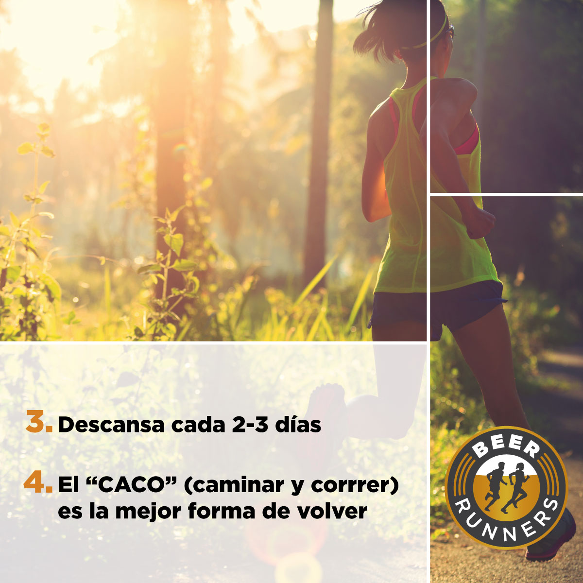 Beer Runners España tweet media