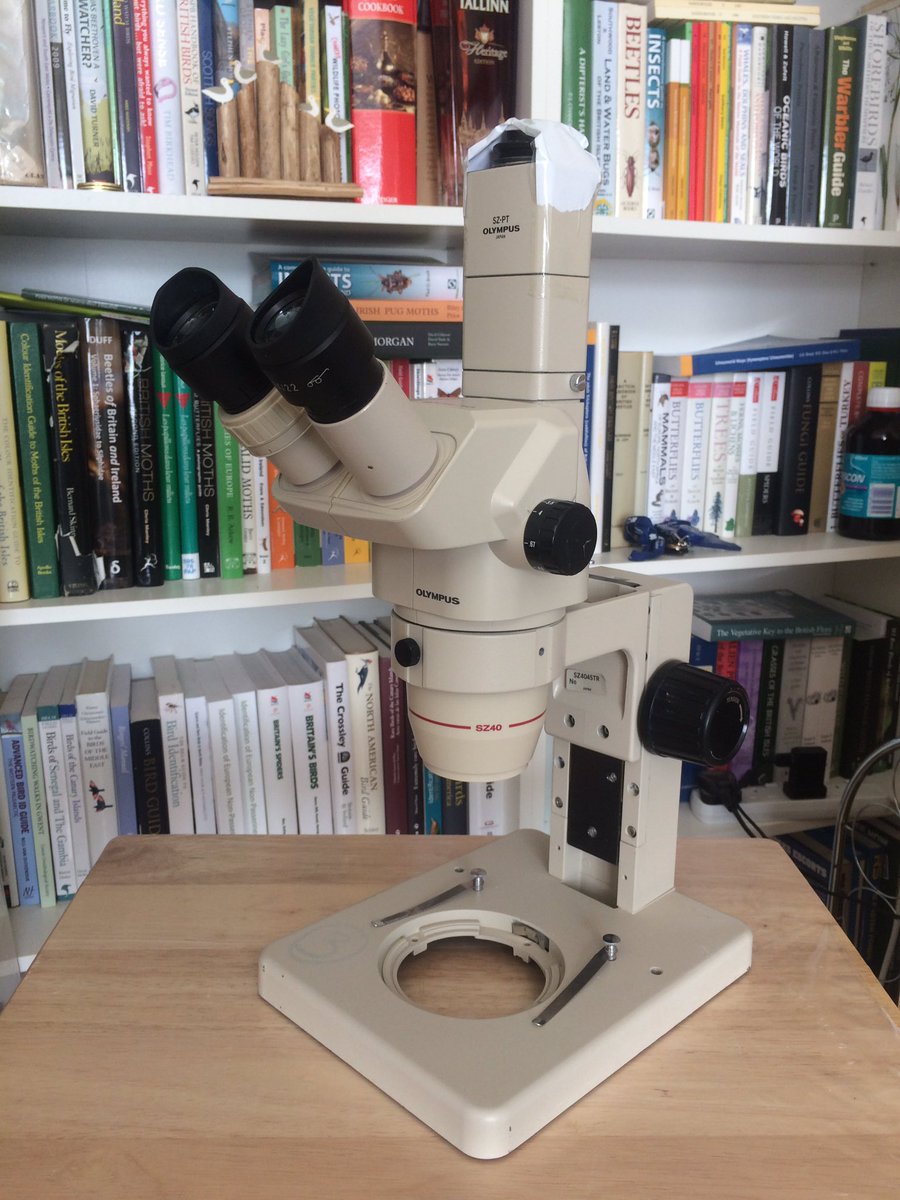 BlaenavonNature's tweet photo. My new (used) present just arrived from Kuwait! Just needs a bit of a clean, a new glass base plate which is on order, camera adapter, some lighting then I’m all sorted! Half price including import duty than you can buy one in the UK! #olympusmicroscope https://t.co/YKCxq5jDMl