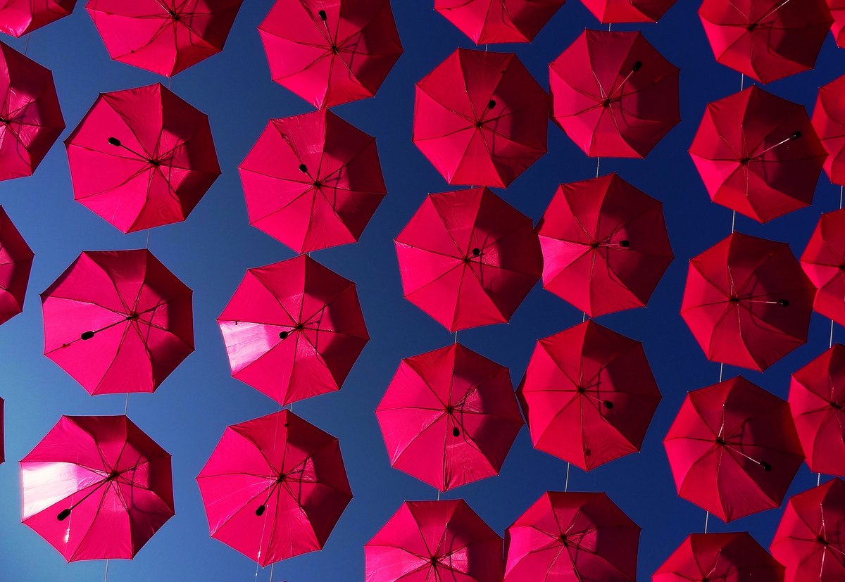 How are you changing your escorting business to cope with the pandemic? Sign up for an interview and tell us the story of your business and how you are affected by the pandemic and FOSTA-SESTA at: eroticentrepreneurs.com #NothingAboutUsWithoutUs #SexWork