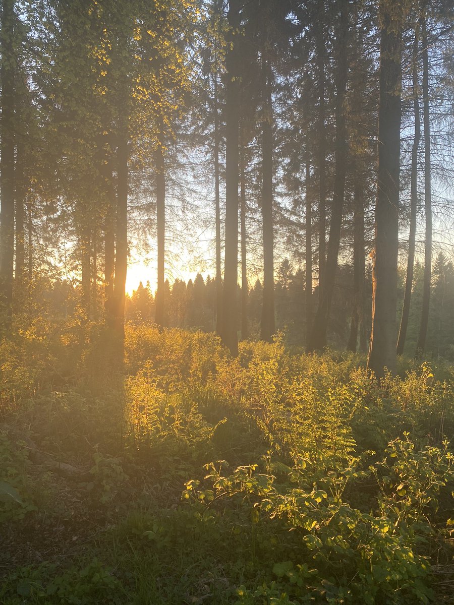 misslisterPE's tweet photo. I completed a leisurely 5km stroll tonight as part of @PEStLukes ‘Walk &amp; Talk’ challenge. I challenge the rest of the PE team and @StLukesHFTT to get involved 😁👍🏻#stayactive  #stayconnected #takenotice https://t.co/KjInkEn5Wq