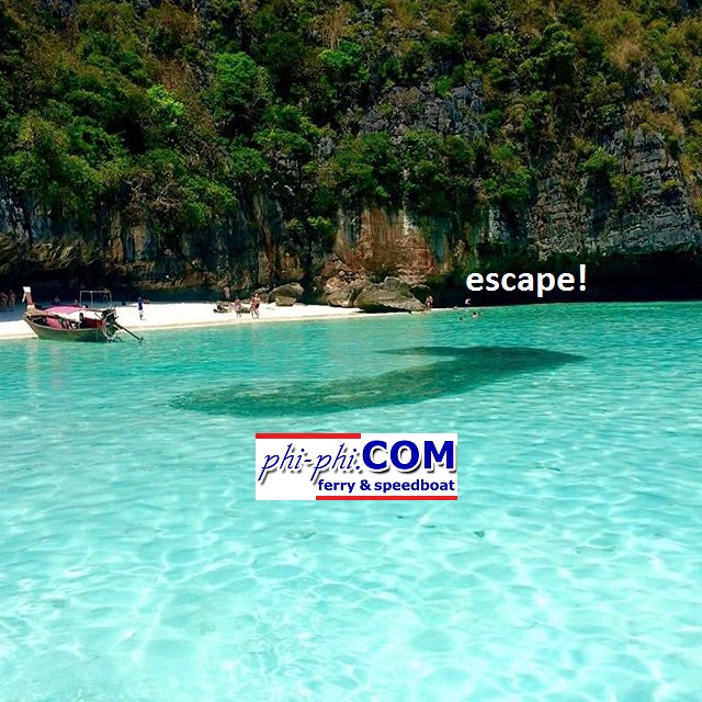 MayaBayTheBeach's tweet photo. Half Day Speedboat Tour to  #mayabay on Koh #PhiPhi. 
https://t.co/MnXDya30mn
@SoloTraveler @WildJunket @Bloggeries 
#phiphiisland https://t.co/ae7lMaIxnO