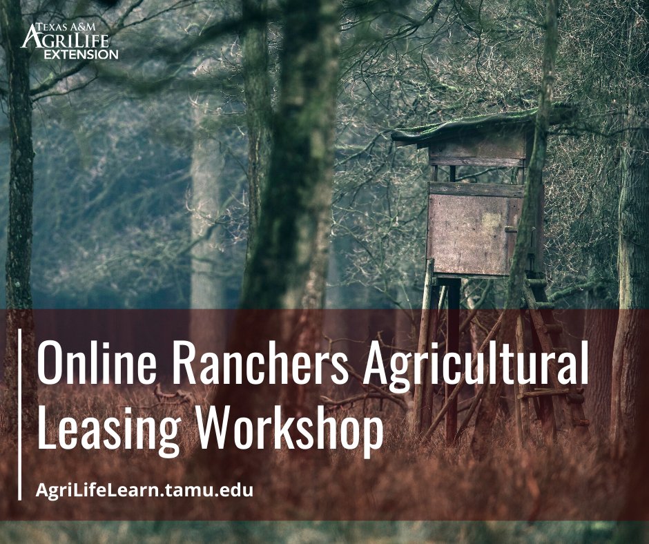 TiffDowell's tweet image. TX Landowners:  How would you like to get tips from an economist and an attorney before you enter into a hunting lease?  

We&apos;ve got you covered with our Online Ranchers Leasing Workshop!

agrilifelearn.tamu.edu/catalog?pagena…

#aglaw #huntinglease #texashunters #texashunting #huntinglease