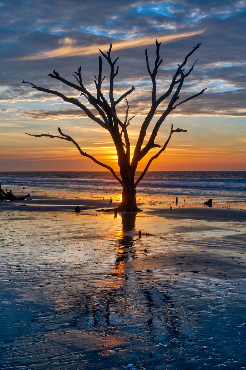 Rick Holliday tweet media