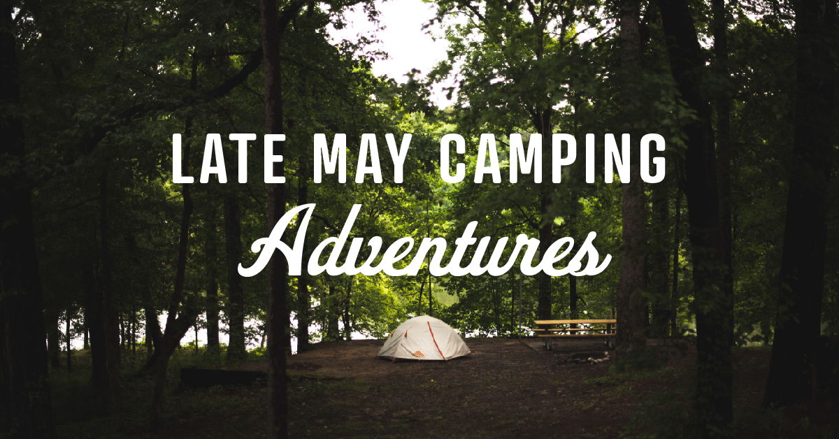 TennStateParks's tweet photo. We've created a list of camping safety tips and campgrounds near major cities so you can stay close to home and enjoy sleeping under the stars. ✨ Read the blog: https://t.co/8sbov6mXHR (📸:@sethcreative) https://t.co/CJaU9KfbhB